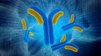 Antistoffer – superhelter både i kreftbehandling og på Nobel-scenen