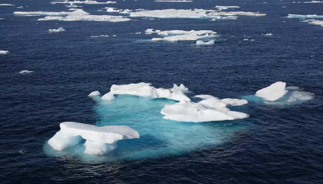 Beslutningstakere plukker de tallene som passer til deres politiske ønsker, mener forsker Erlend Hermansen. Et eksempel er utbredelsen av is i Barentshavet. (Illustrasjon: Achim Baque / Shutterstock / NTB scanpix)