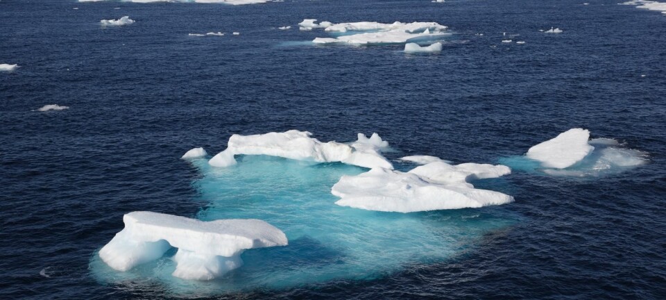 Beslutningstakere plukker de tallene som passer til deres politiske ønsker, mener forsker Erlend Hermansen. Et eksempel er utbredelsen av is i Barentshavet. (Illustrasjon: Achim Baque / Shutterstock / NTB scanpix)