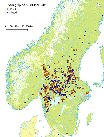 Oversikt over hunder som ble drept (n=400) eller skadd (n=217) som følge av ulveangrep i Norge og Sverige i årene 1995–2017. (Illustrasjon: NINA) Oversikt over hunder som ble drept (n=400) eller skadd (n=217) som følge av ulveangrep i Norge og Sverige i årene 1995–2017. (Illustrasjon: NINA)