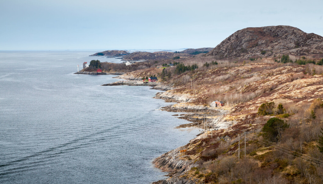 Under vannet ved kysten yrer det av liv. Alt fra tang og tare som kan brukes i iskrem, til blåskjell som renser vannet rundt seg. En ny rapport fra NIVA viser hvor viktig det er at vi tar vare på disse økosystemene. (Illustrasjonsfoto: Colourbox) Under vannet ved kysten yrer det av liv. Alt fra tang og tare som kan brukes i iskrem, til blåskjell som renser vannet rundt seg. En ny rapport fra NIVA viser hvor viktig det er at vi tar vare på disse økosystemene. (Illustrasjonsfoto: Colourbox)