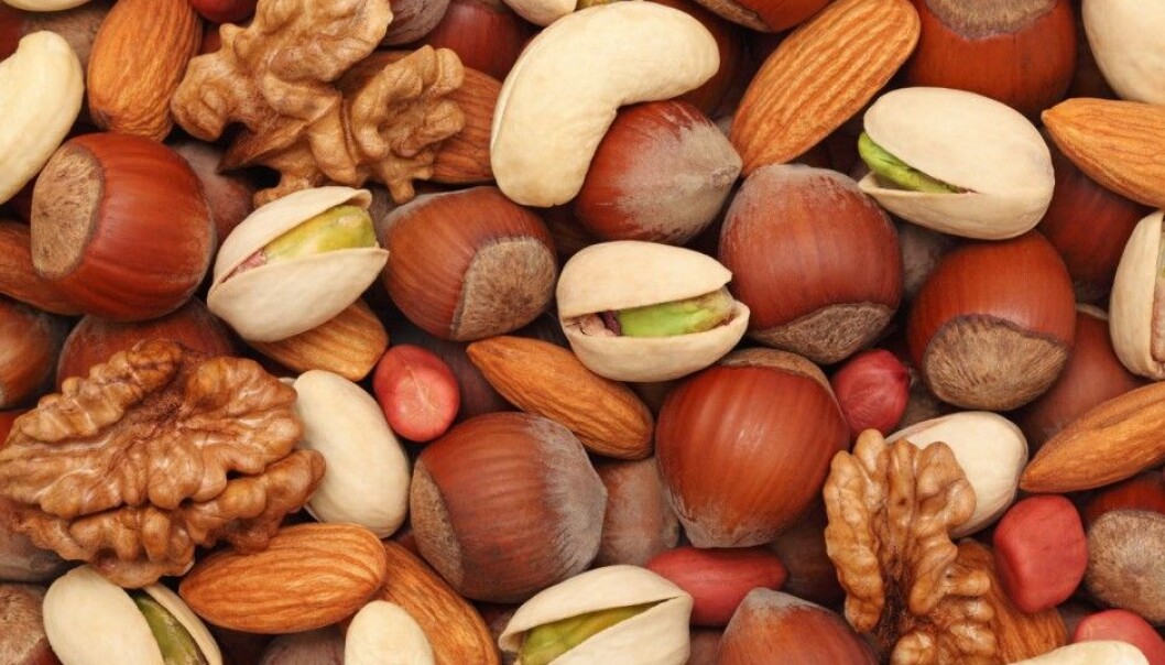En håndfull nøtter ser ut til å beskytte mot tilbakefall av kreft. (Foto:Shutterstock/NTB Scanpix) En håndfull nøtter ser ut til å beskytte mot tilbakefall av kreft. (Foto:Shutterstock/NTB Scanpix)