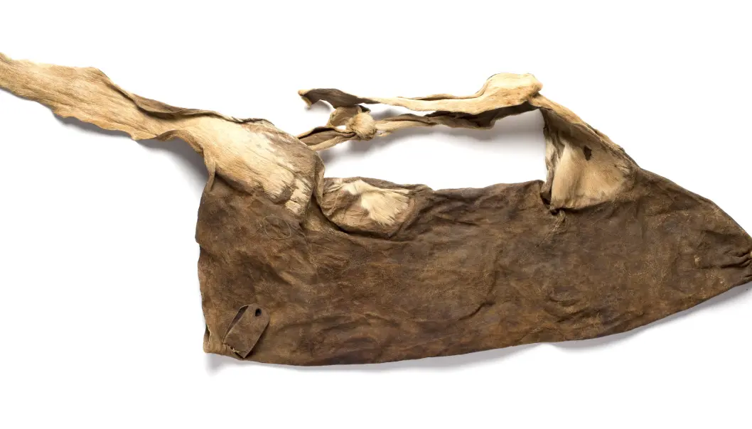 «Dyreveske» frå Gordonia i Sør-Afrika. Legg merke til korleis beina til «dyret» er knytte saman til ei skulderreim. Opphavsrett: Iziko SA Musem of Cape Town. (Foto: Nigel Pamplin) «Dyreveske» frå Gordonia i Sør-Afrika. Legg merke til korleis beina til «dyret» er knytte saman til ei skulderreim. Opphavsrett: Iziko SA Musem of Cape Town. (Foto: Nigel Pamplin)