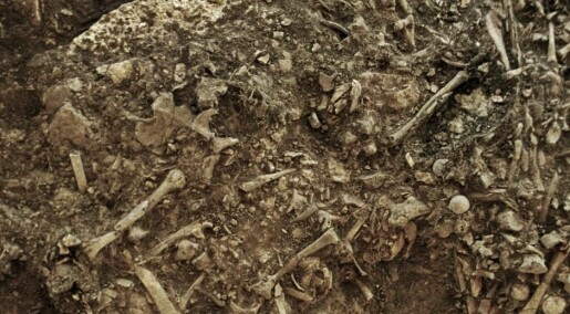 Spor av pest funnet i steinalderkvinne: Forklarer kanskje mystisk mangel på mennesker