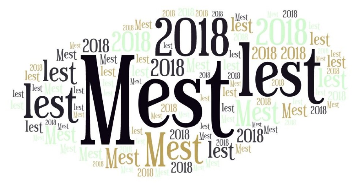 (Illustrasjon: Wordclouds.com) (Illustrasjon: Wordclouds.com)