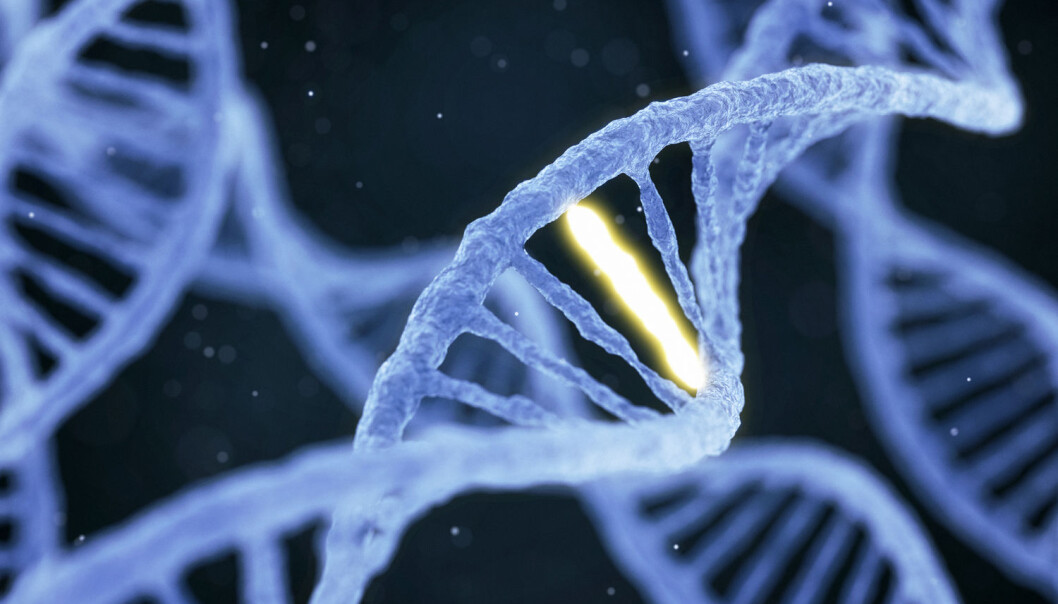 Forskerne analyserte genene til CRISPR-redigerte mus, på leting etter steder der en av "bokstavene" i DNA-koden var byttet ut med en annen. De fant massevis. (Illustrasjon: Konstantin Faraktinov / Shutterstock / NTB scanpix) Forskerne analyserte genene til CRISPR-redigerte mus, på leting etter steder der en av "bokstavene" i DNA-koden var byttet ut med en annen. De fant massevis. (Illustrasjon: Konstantin Faraktinov / Shutterstock / NTB scanpix)