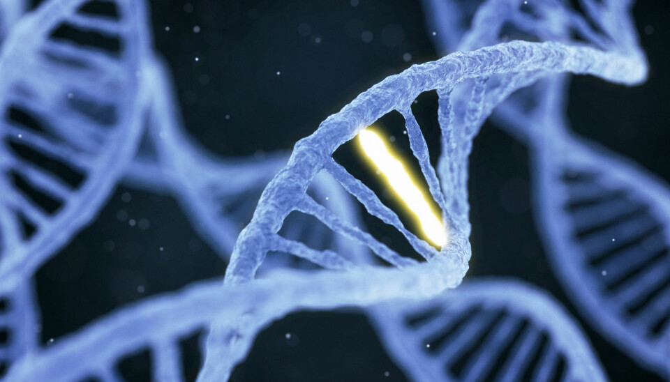 Forskerne analyserte genene til CRISPR-redigerte mus, på leting etter steder der en av 'bokstavene' i DNA-koden var byttet ut med en annen. De fant massevis. (Illustrasjon: Konstantin Faraktinov / Shutterstock / NTB scanpix)