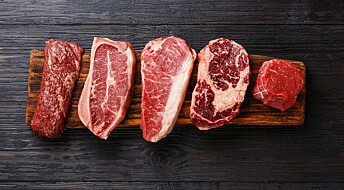 Hva slags kjøtt belaster klimaet minst: Økologisk eller vanlig?