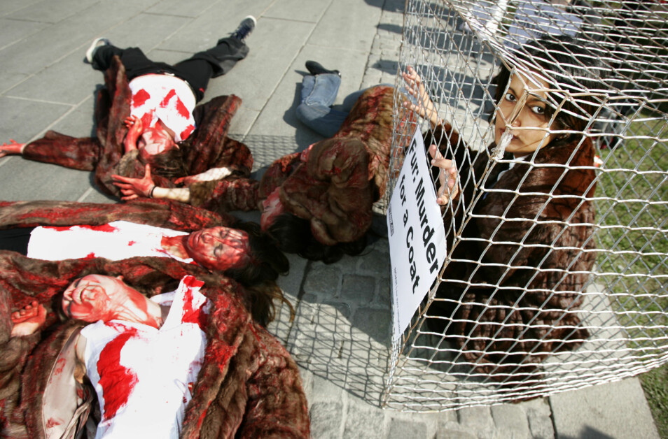Dyrevernaktivister ligger «døde» og «blodige» på bakken foran Stortinget i en protestaksjon mot pelsproduksjon. (Illustrasjonsfoto: Erlend Aas / Scanpix)