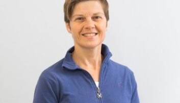 Kjersti Holt Hanssen. (Foto: Nibio) Kjersti Holt Hanssen. (Foto: Nibio)