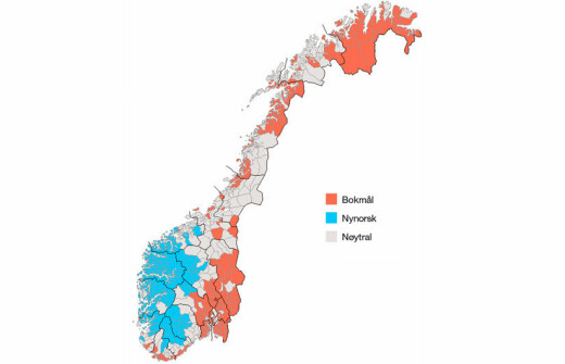 Norskfaget: Den norske språkstoda