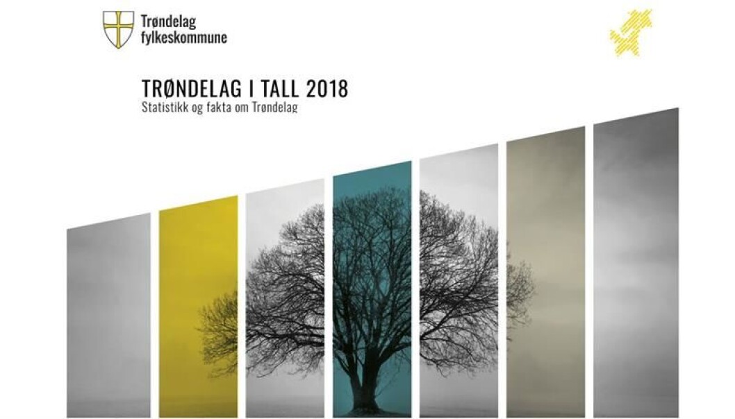 (Skjermbilde av forsiden til rapporten Trøndelag i tall 2018 - statistikk og fakta) (Skjermbilde av forsiden til rapporten Trøndelag i tall 2018 - statistikk og fakta)