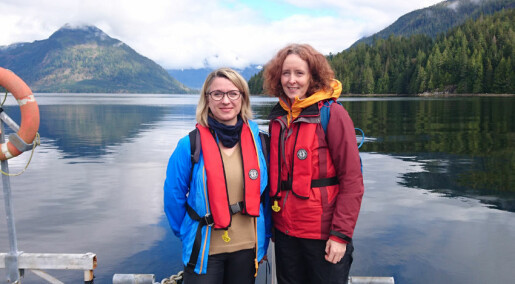 Forskere besøker planleggere i Norge og Canada