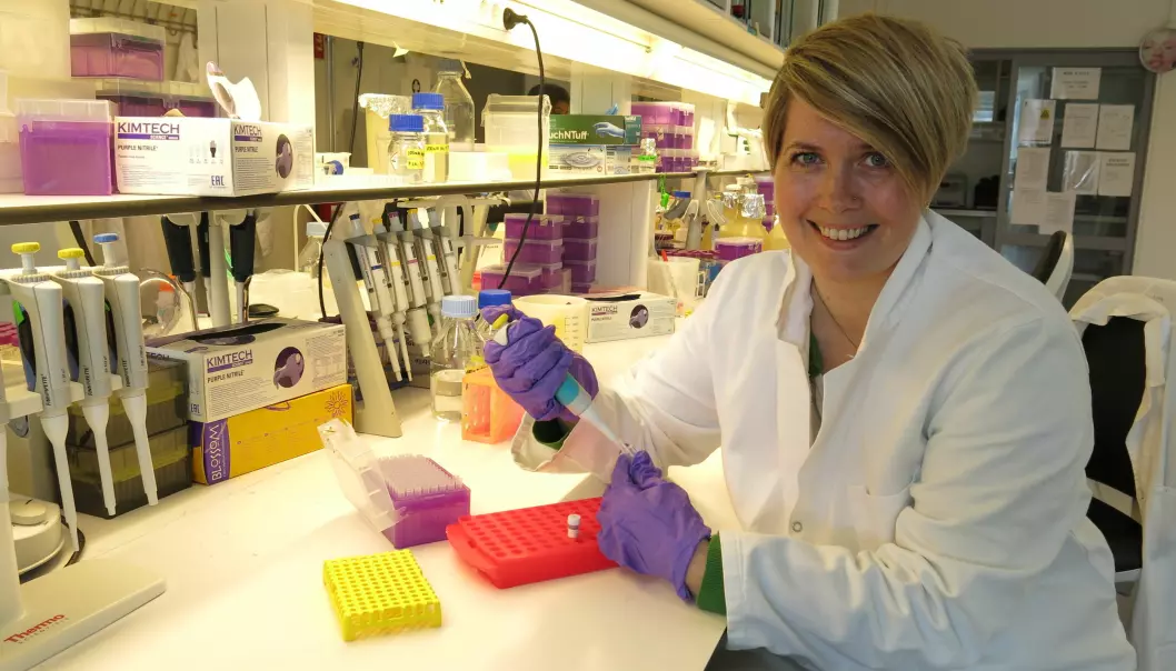 Molekylærbiolog Sunniva Katharina Thode har skrevet doktorgradsavhandling om hvordan noen bakterier angriper mennesker og dyr. Noen av disse bakteriene kan fremkalle alvorlig sykdom. ( Foto: Vibeke Os)