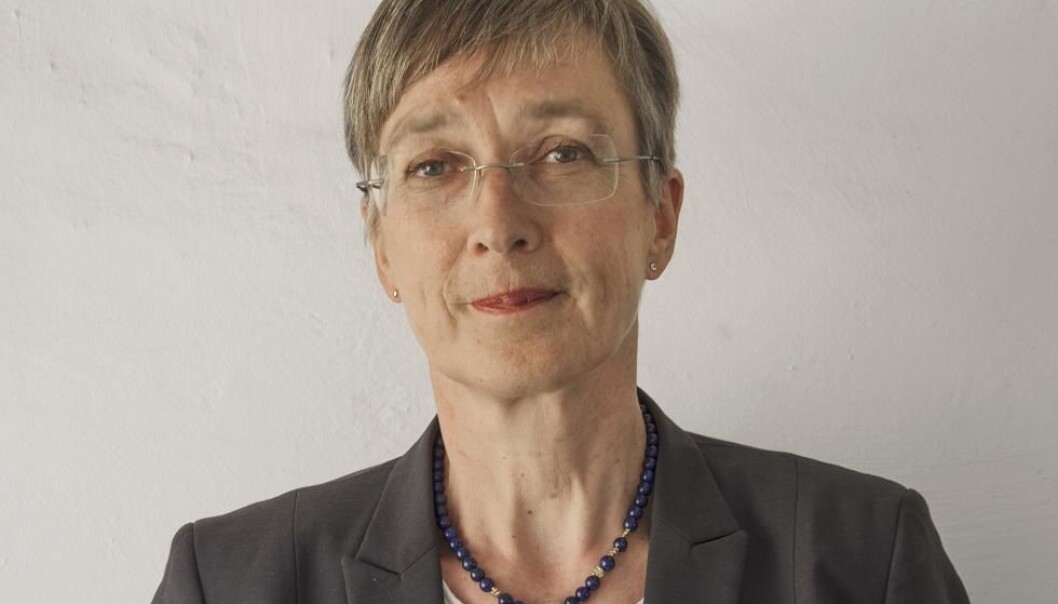 Kristin Bakken har en doktorgrad i Nordisk språkvitenskap og har jobbet som forsker i ni år før hun startet som leder i 2002. (Foto: NIKU) Kristin Bakken har en doktorgrad i Nordisk språkvitenskap og har jobbet som forsker i ni år før hun startet som leder i 2002. (Foto: NIKU)