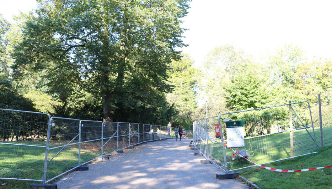 Øvre del av Nygårdsparken har vært stengt i nesten tre år. En ny rapport viser hva som har skjedd med rusmiljøet etter at det ble flyttet fra parken i 2014. (Foto: Dag Hellesund) Øvre del av Nygårdsparken har vært stengt i nesten tre år. En ny rapport viser hva som har skjedd med rusmiljøet etter at det ble flyttet fra parken i 2014. (Foto: Dag Hellesund)