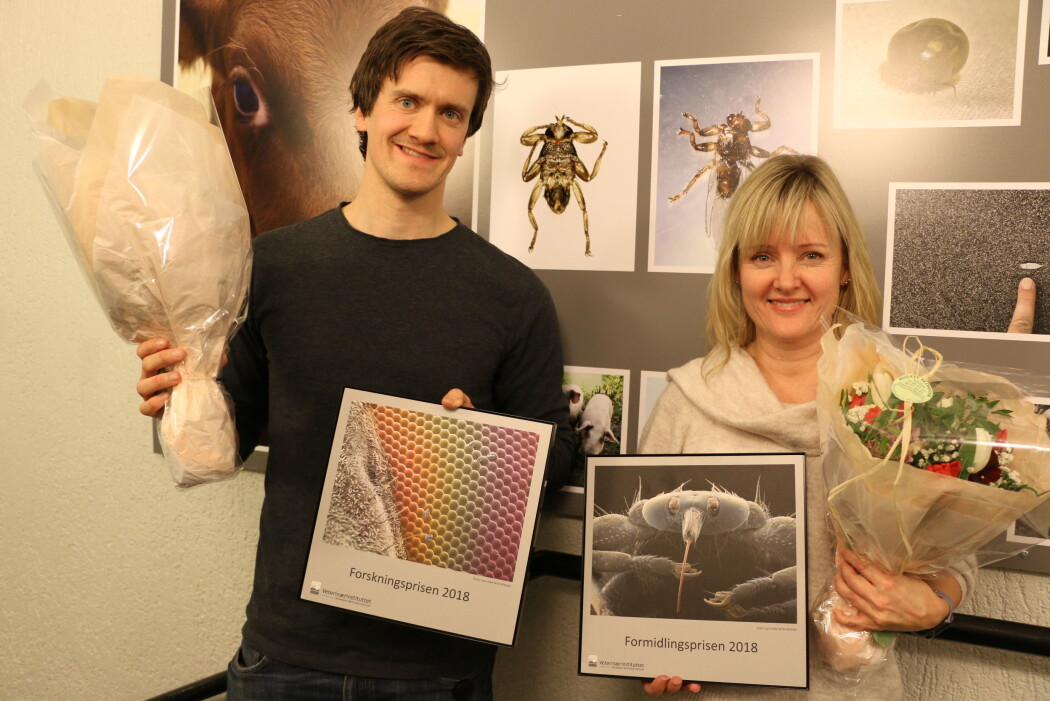 Snorre Gulla og Jannicke Wiik-Nielsen har vunnet Veterinærinstituttets forskningspris og formidlingspris for 2018. (Foto: Bryndis Holm) Snorre Gulla og Jannicke Wiik-Nielsen har vunnet Veterinærinstituttets forskningspris og formidlingspris for 2018. (Foto: Bryndis Holm)