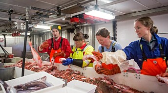 Slik sjekkar forskarane korleis det går med livet i Barentshavet