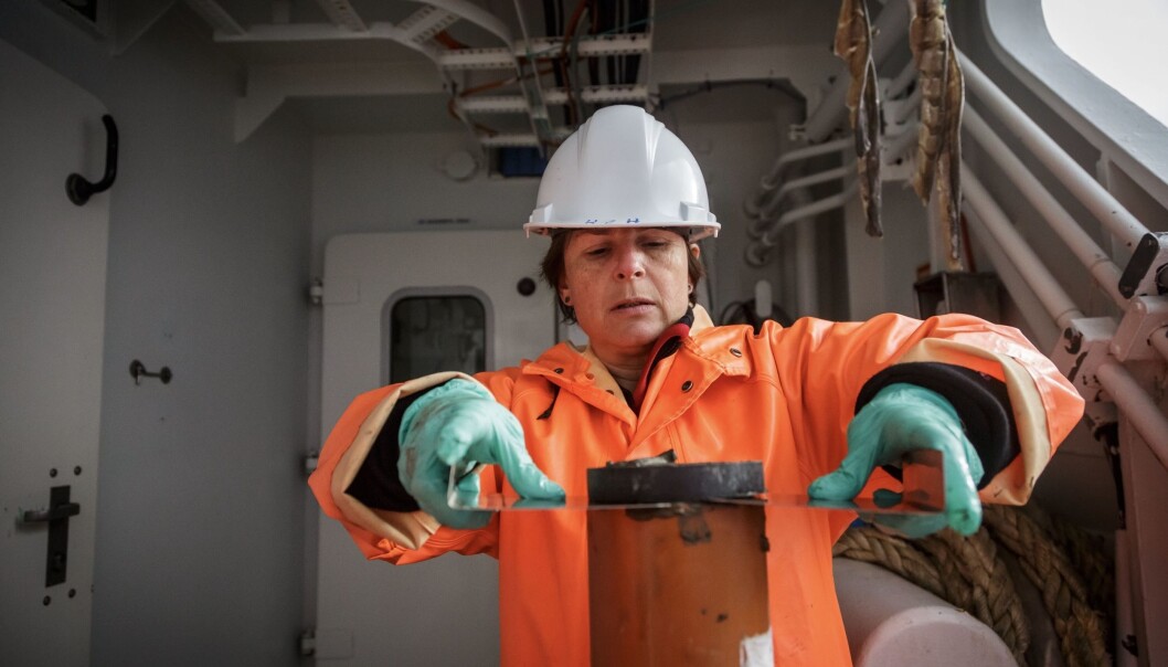 Hilde Elise Heldal skjer ut lag av ein kjerneprøve. Desse skal ho fryse om bord, før ho tørkar, malar og analyserer dei på land. (Foto: Erlend A. Lorentzen / Havforskingsinstituttet) Hilde Elise Heldal skjer ut lag av ein kjerneprøve. Desse skal ho fryse om bord, før ho tørkar, malar og analyserer dei på land. (Foto: Erlend A. Lorentzen / Havforskingsinstituttet)