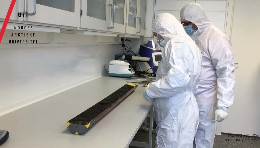Over 30 personer er involvert i prosjektet ECOGEN. Ved hjelp av avanserte DNA-analyser skal de få kunnskap om hvilke planter som fantes fra isen begynte å smelte for cirka 15 000 år siden og frem til i dag. (Foto: Helene Enoksen) Over 30 personer er involvert i prosjektet ECOGEN. Ved hjelp av avanserte DNA-analyser skal de få kunnskap om hvilke planter som fantes fra isen begynte å smelte for cirka 15 000 år siden og frem til i dag. (Foto: Helene Enoksen)