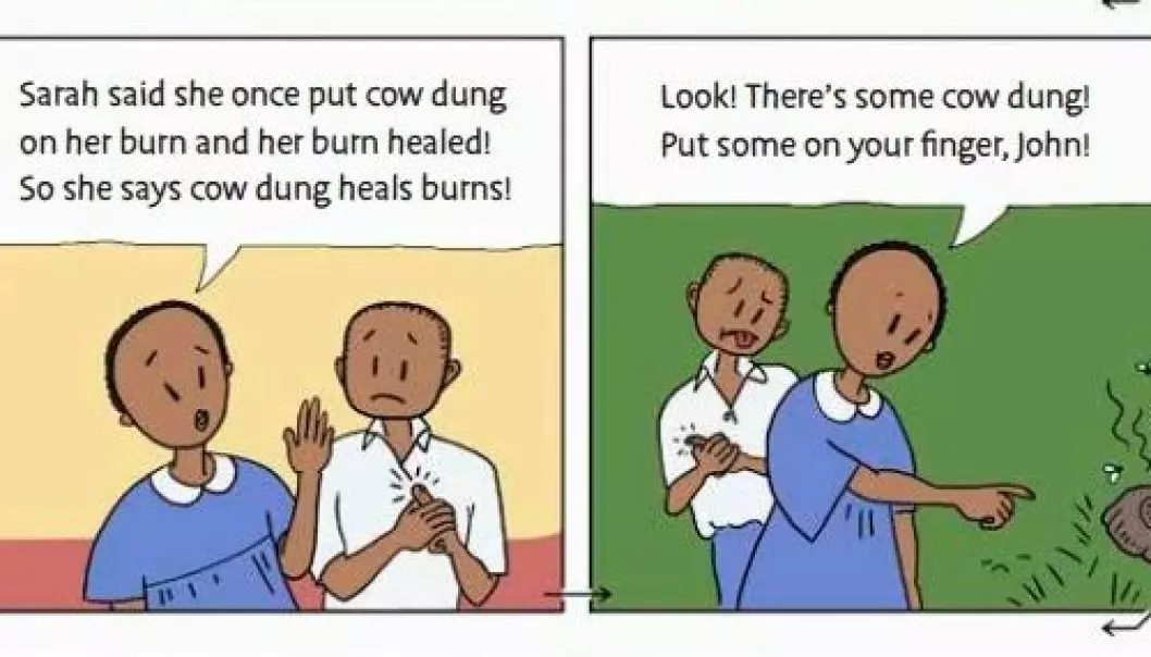 Å legge kumøkk på brannskader er et vanlig kjerringråd i Uganda. Gjennom tegneserier i en lærebok fra prosjektet Informed Health Choices lærer barna å være kritiske til slike påstander. (Illustrasjon: Informed Health Choices)