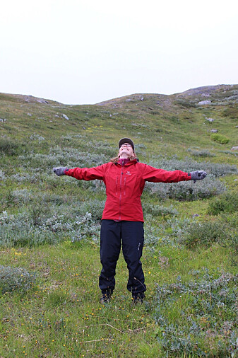 Overlykkelig botaniker i en eng av grønlandsstarr, Solvågtind, Nordland. (Foto: Heidi Myklebost) Overlykkelig botaniker i en eng av grønlandsstarr, Solvågtind, Nordland. (Foto: Heidi Myklebost)