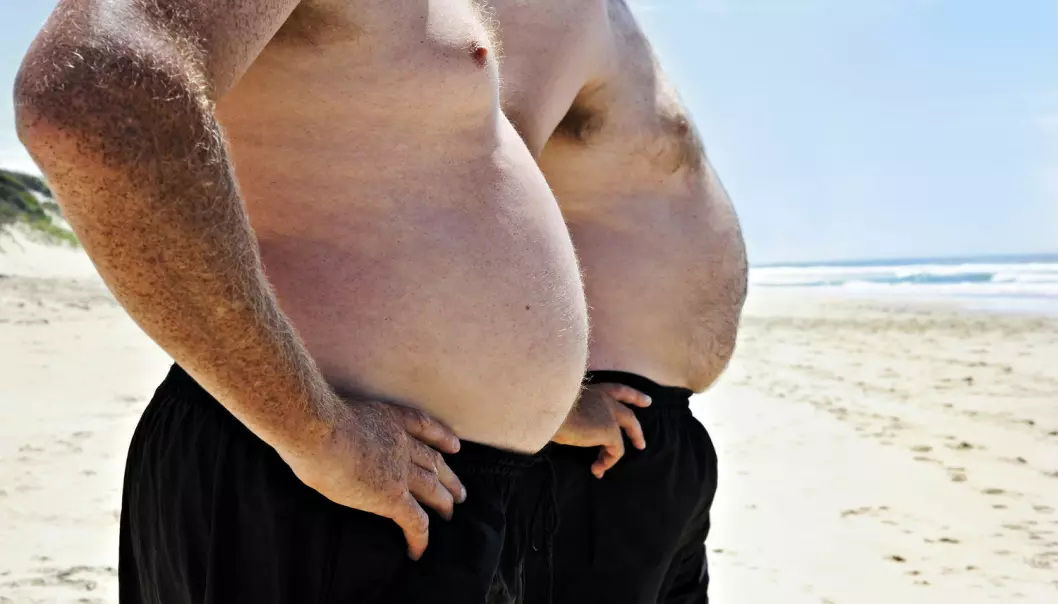 Overvekt aktiverer gener for fettlever