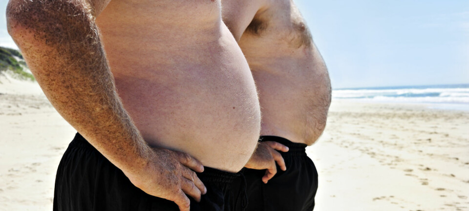 Overvekt aktiverer tre gener som disponerer for fettlever, viser ny forskning. Overvekt øker risikoen for fettlever markant. (Foto: Tish1 / Shutterstock / NTB scanpix)