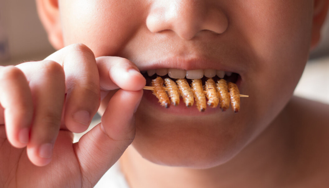 Hvis du vil gjøre noe bra for miljøet, kan det være en god idé å spise insekter. De forurenser nemlig langt mindre enn de fleste formene for husdyrproduksjon (Foto: Charoenkrung.Studio99 / Shutterstock / NTB scanpix) Hvis du vil gjøre noe bra for miljøet, kan det være en god idé å spise insekter. De forurenser nemlig langt mindre enn de fleste formene for husdyrproduksjon (Foto: Charoenkrung.Studio99 / Shutterstock / NTB scanpix)