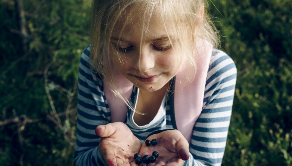 Blåbærsaften er mørk, og det blir lett flekkete. (Illustrasjonsfoto: Colourbox)