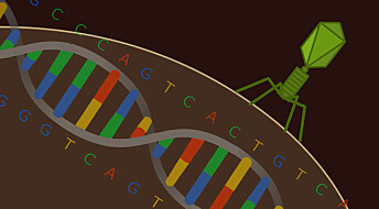Bakgrunn: Slik virker genteknologien CRISPR