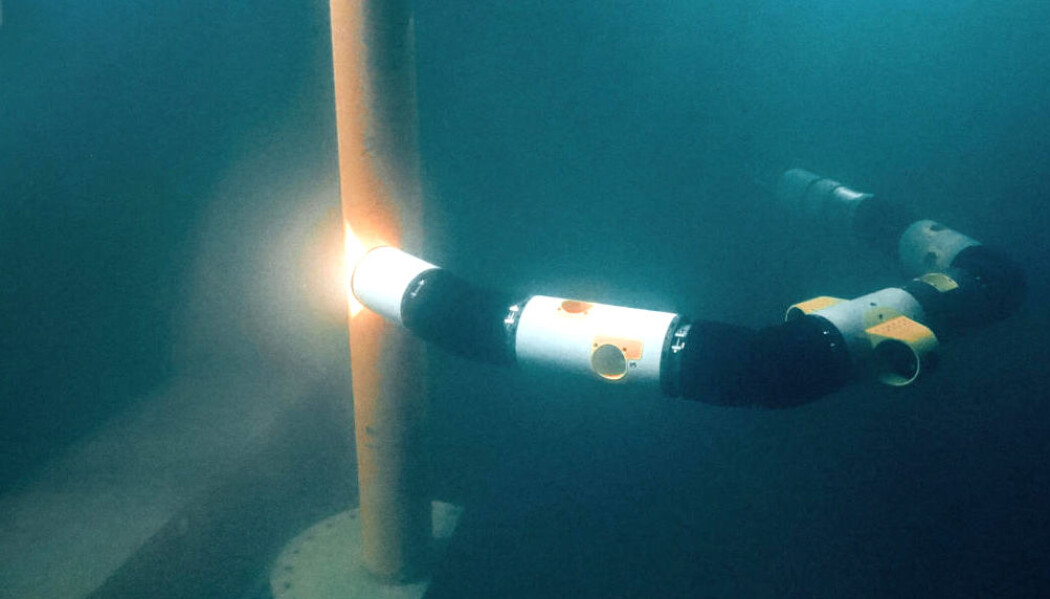 Slangeroboter kan snart drive vedlikehold av installasjoner under vann. (Foto: Eelume) Slangeroboter kan snart drive vedlikehold av installasjoner under vann. (Foto: Eelume)