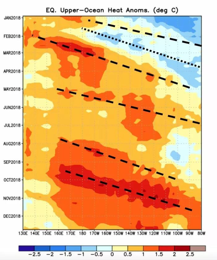 Det gikk en stor kelvinbølge (rødt) i Stillehavet i høst. Snart kommer en ny stor bølge, og 2019 blir derfor trolig et El Ninjo-år. (Bilde: NOAA)