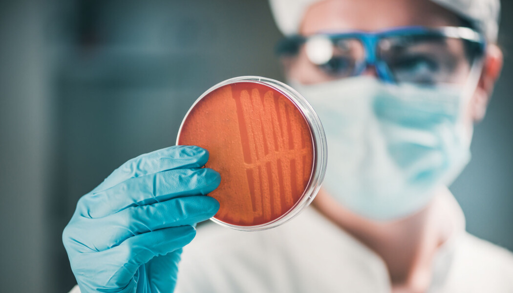 Resistente bakterier kjenner ingen landegrenser, påpeker forsker. Derfor er det godt nytt for alle at antibiotikabruken har gått ned i USA. (Illustrasjonsfoto: Microgen / Shutterstock / NTB scanpix) Resistente bakterier kjenner ingen landegrenser, påpeker forsker. Derfor er det godt nytt for alle at antibiotikabruken har gått ned i USA. (Illustrasjonsfoto: Microgen / Shutterstock / NTB scanpix)