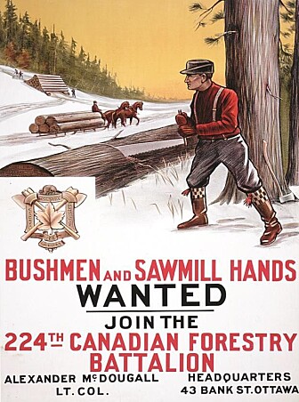 Rekrutteringsplakat fra Canada. (Bilde: Haneca et al./Antiquity 2018) Rekrutteringsplakat fra Canada. (Bilde: Haneca et al./Antiquity 2018)