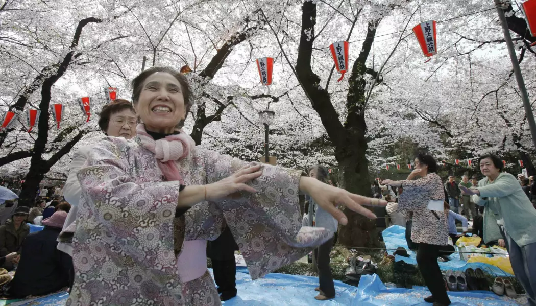 Kvinner danser i en park i Tokyo under feiringen av kirsebærblomstringen i 2012. Dans kan være bra i alderdommen, tror forskere. (Foto: Koji Sasahara/AP/NTB scanpix)