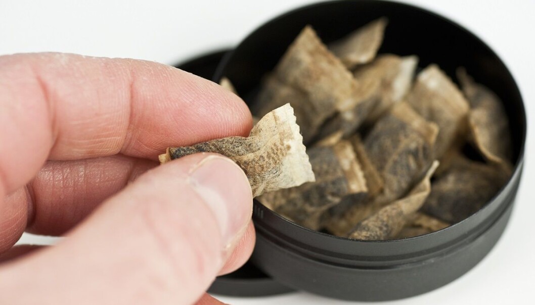 Helsedirektoratet har ikke planer om å endre sine advarsler om at snus kan føre til bukspyttkjertelkreft, til tross for at en stor samlestudie ikke viser sammenheng med krefttypen. (Foto: vichni, Shutterstock, NTB scanpix) Helsedirektoratet har ikke planer om å endre sine advarsler om at snus kan føre til bukspyttkjertelkreft, til tross for at en stor samlestudie ikke viser sammenheng med krefttypen. (Foto: vichni, Shutterstock, NTB scanpix)