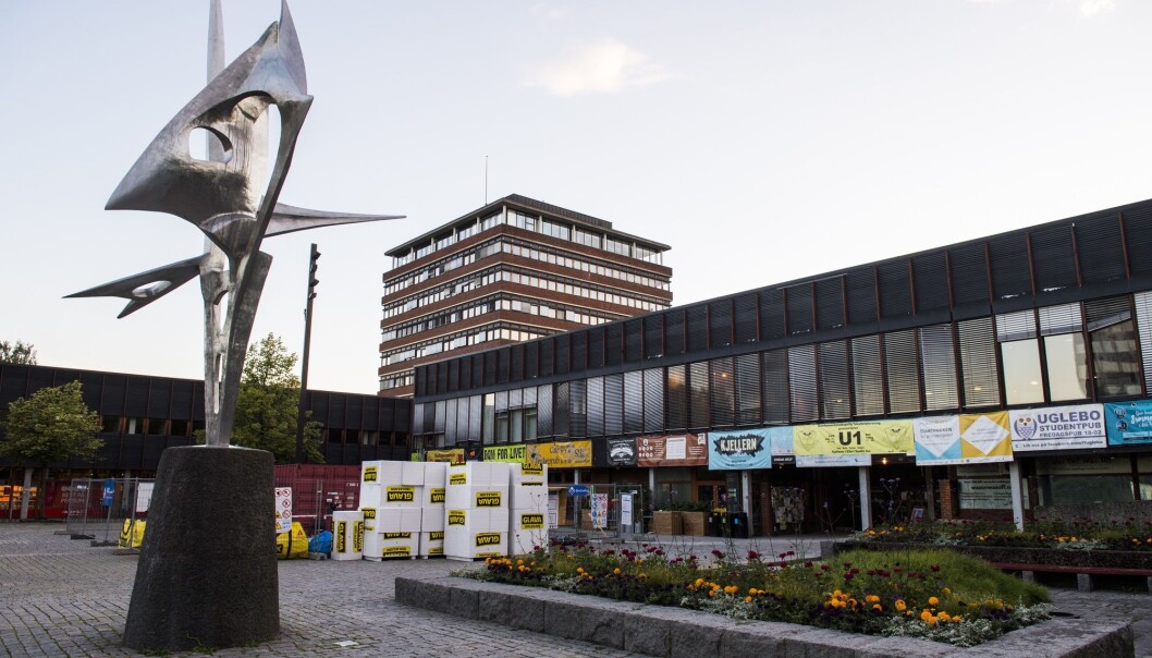 Stadig flere kvinner tar høyere utdannelse, og kjønnsforskjellene øker. Her på Universitetet i Oslo på Blindern er seks av ti studenter kvinner. (Foto: Jon Olav Nesvold / NTB scanpix) Stadig flere kvinner tar høyere utdannelse, og kjønnsforskjellene øker. Her på Universitetet i Oslo på Blindern er seks av ti studenter kvinner. (Foto: Jon Olav Nesvold / NTB scanpix)