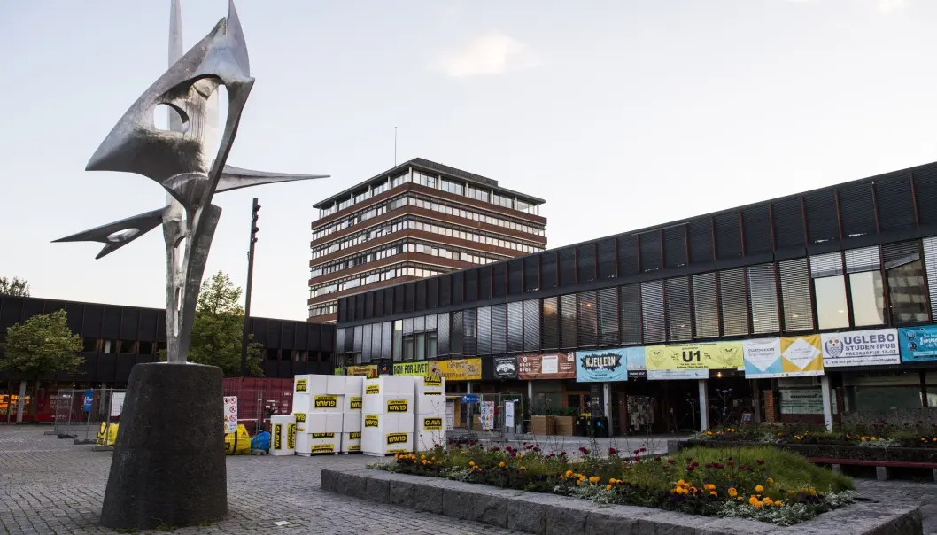 Stadig flere kvinner tar høyere utdannelse, og kjønnsforskjellene øker. Her på Universitetet i Oslo på Blindern er seks av ti studenter kvinner. (Foto: Jon Olav Nesvold / NTB scanpix) Stadig flere kvinner tar høyere utdannelse, og kjønnsforskjellene øker. Her på Universitetet i Oslo på Blindern er seks av ti studenter kvinner. (Foto: Jon Olav Nesvold / NTB scanpix)