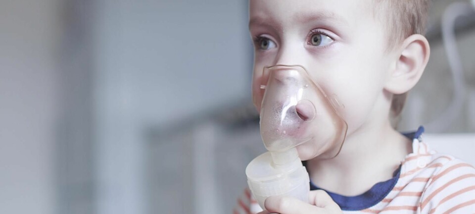 Hva gir astma? Forskningen er ikke enig om hvilken rolle D-vitamin spiller.  (Illustrasjonsfoto: EvgeniiAnd / Shutterstock / NTB scanpix)