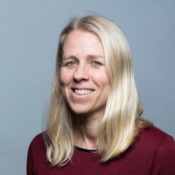 Kari Margrethe Seeberg er seniorforsker ved Sintef. (Foto: Sintef) Kari Margrethe Seeberg er seniorforsker ved Sintef. (Foto: Sintef)