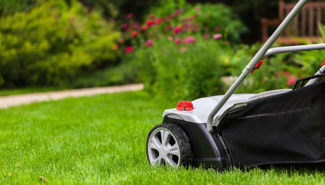 Få med deg plenforskerens beste tips til grønn og fin plen. (Foto: Shutterstock / NTB scanpix) Få med deg plenforskerens beste tips til grønn og fin plen. (Foto: Shutterstock / NTB scanpix)