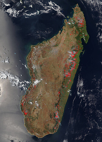 Dette satelittbildet fra 2015 viser skogbranner på Madagaskar. De unike skogene brennes som en del av landbrukets praksis med svedjebruk. (Foto: NASA) Dette satelittbildet fra 2015 viser skogbranner på Madagaskar. De unike skogene brennes som en del av landbrukets praksis med svedjebruk. (Foto: NASA)