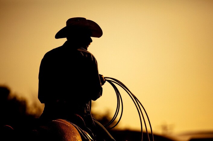 I 1877 var det mer enn 5000 ettersøkte menn, bare i Texas. (Illustrasjonsfoto: Sascha Burkard, Shutterstock, NTB scanpix) I 1877 var det mer enn 5000 ettersøkte menn, bare i Texas. (Illustrasjonsfoto: Sascha Burkard, Shutterstock, NTB scanpix)