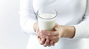 Varmebehandlet melk øker ikke sannsynligheten for hjertesykdom