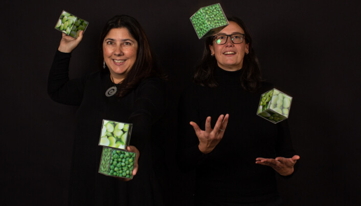 Antje Gonera og Paula Varela forsker på hva som skal til for å få forbrukere til å spise mer plantebasert. (Foto: Joe Urrutia © Nofima) Antje Gonera og Paula Varela forsker på hva som skal til for å få forbrukere til å spise mer plantebasert. (Foto: Joe Urrutia © Nofima)