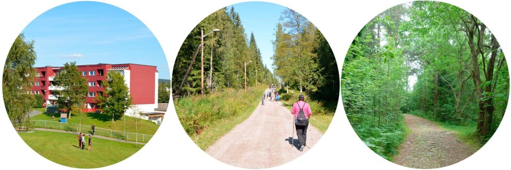 Studieområdene Furuset, Mariholtet og Godliaskogen representerer ulike naturområder. (Foto: Stine Rybråten, NINA) Studieområdene Furuset, Mariholtet og Godliaskogen representerer ulike naturområder. (Foto: Stine Rybråten, NINA)
