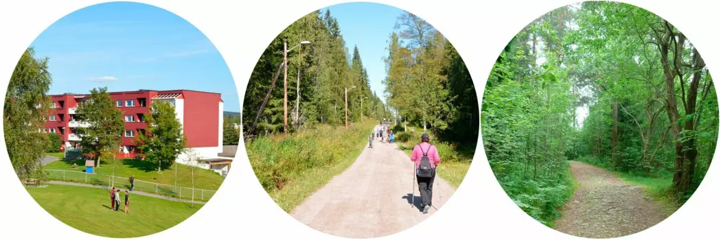 Studieområdene Furuset, Mariholtet og Godliaskogen representerer ulike naturområder. (Foto: Stine Rybråten, NINA)
