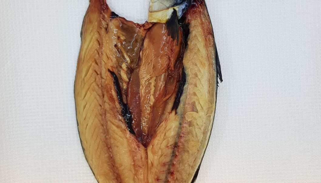 Det gode, standardiserte lyset gir mange detaljer i bildet, og gjør at bilder lett kan sammenlignes. Både mobilkamera og andre kameratyper kan brukes. (Foto: Stein H Olsen, Nofima) Det gode, standardiserte lyset gir mange detaljer i bildet, og gjør at bilder lett kan sammenlignes. Både mobilkamera og andre kameratyper kan brukes. (Foto: Stein H Olsen, Nofima)