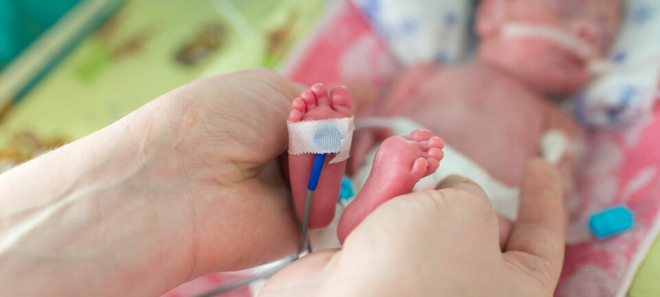 Ekstremt for tidlig fødsel leder ofte til dødsfall eller livsvarige handikap. Nå har forskere fra USA funnet opp en kunstig livmor som kan forlenge den tiden som fostret har til å utvikle seg i hvis det blir født for tidlig.  (Foto: Kristina Bessolova / Shutterstock / NTB scanpix)